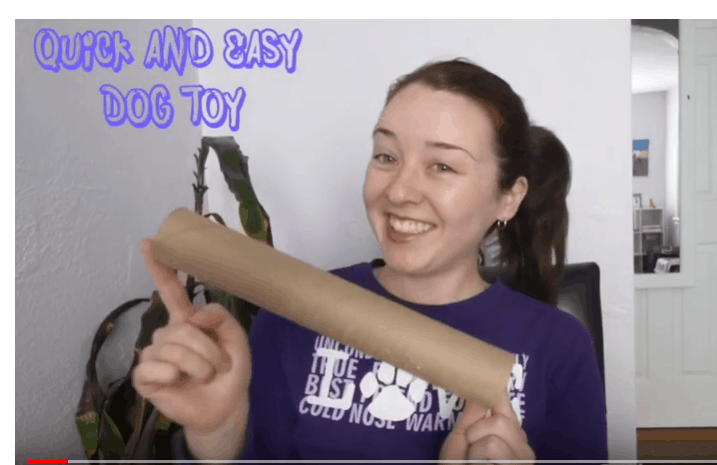 Quick & Easy Paper Towel Dog Toy