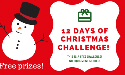 12 Days of Christmas Challenge