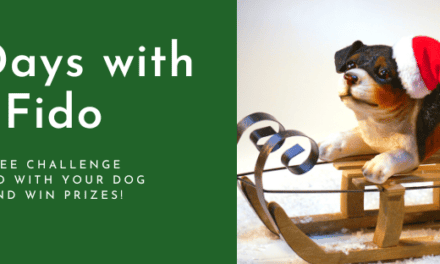 12 Days with Fido Christmas Challenge