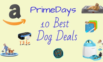 Amazon Prime Deals 2023 Top 10 Dog Items